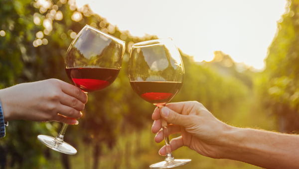 Participe da Apresentação do SIVIBE na ACIANF! 